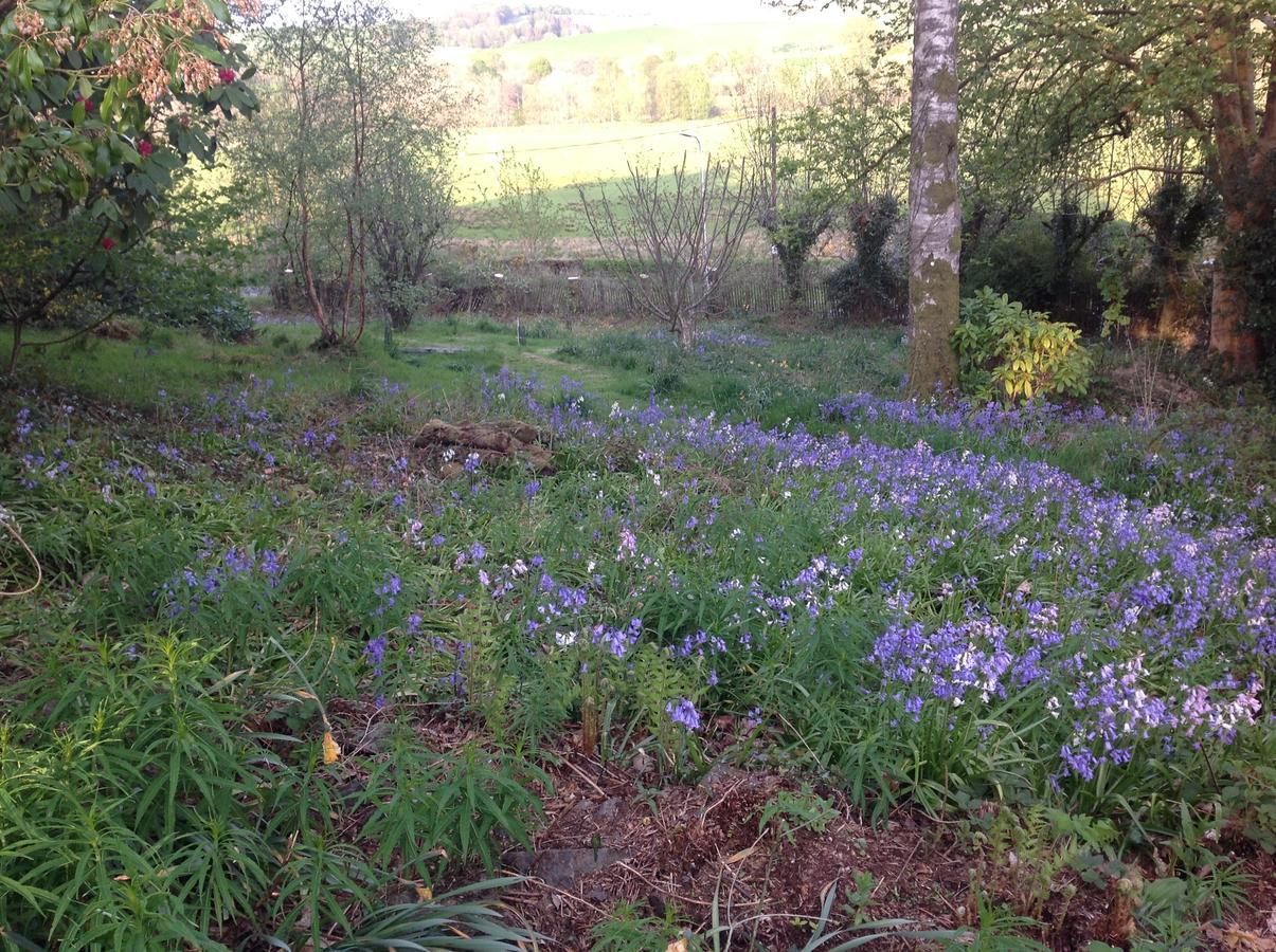 Cruachan House New Galloway Extérieur photo